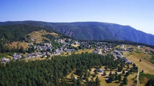 21° TRAIL DU MONT AIGOUAL 2024 - La Luzette - 22km